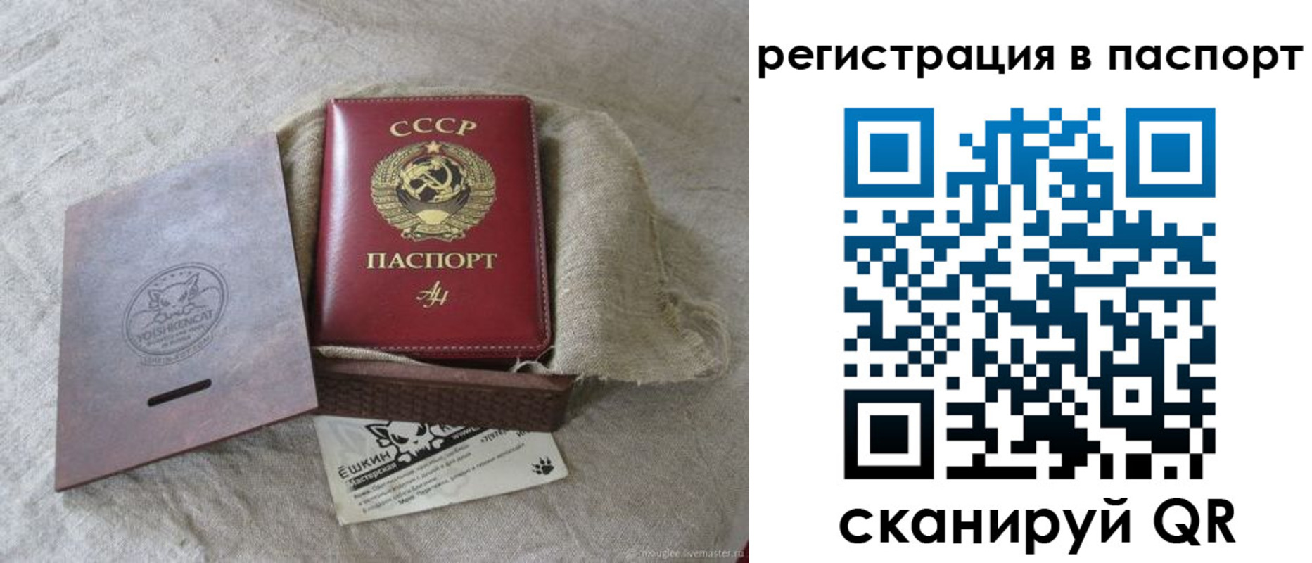 где прописаться в Дмитрове